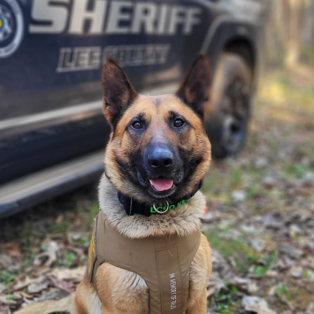 K-9 photo