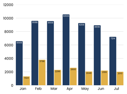 Bar chart of monthly visitor totals, January through July 2026